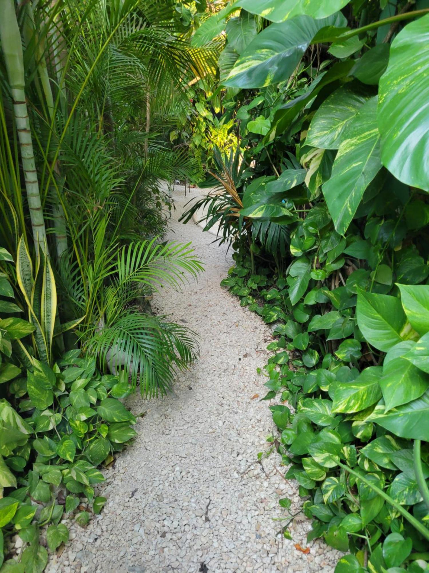 Apartmán The Secret Garden Tulum Exteriér fotografie