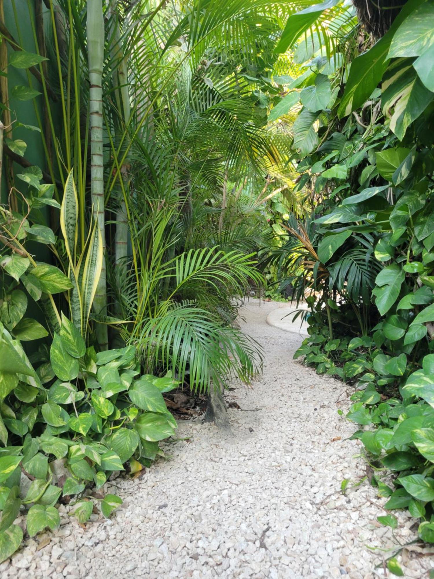 Apartmán The Secret Garden Tulum Exteriér fotografie
