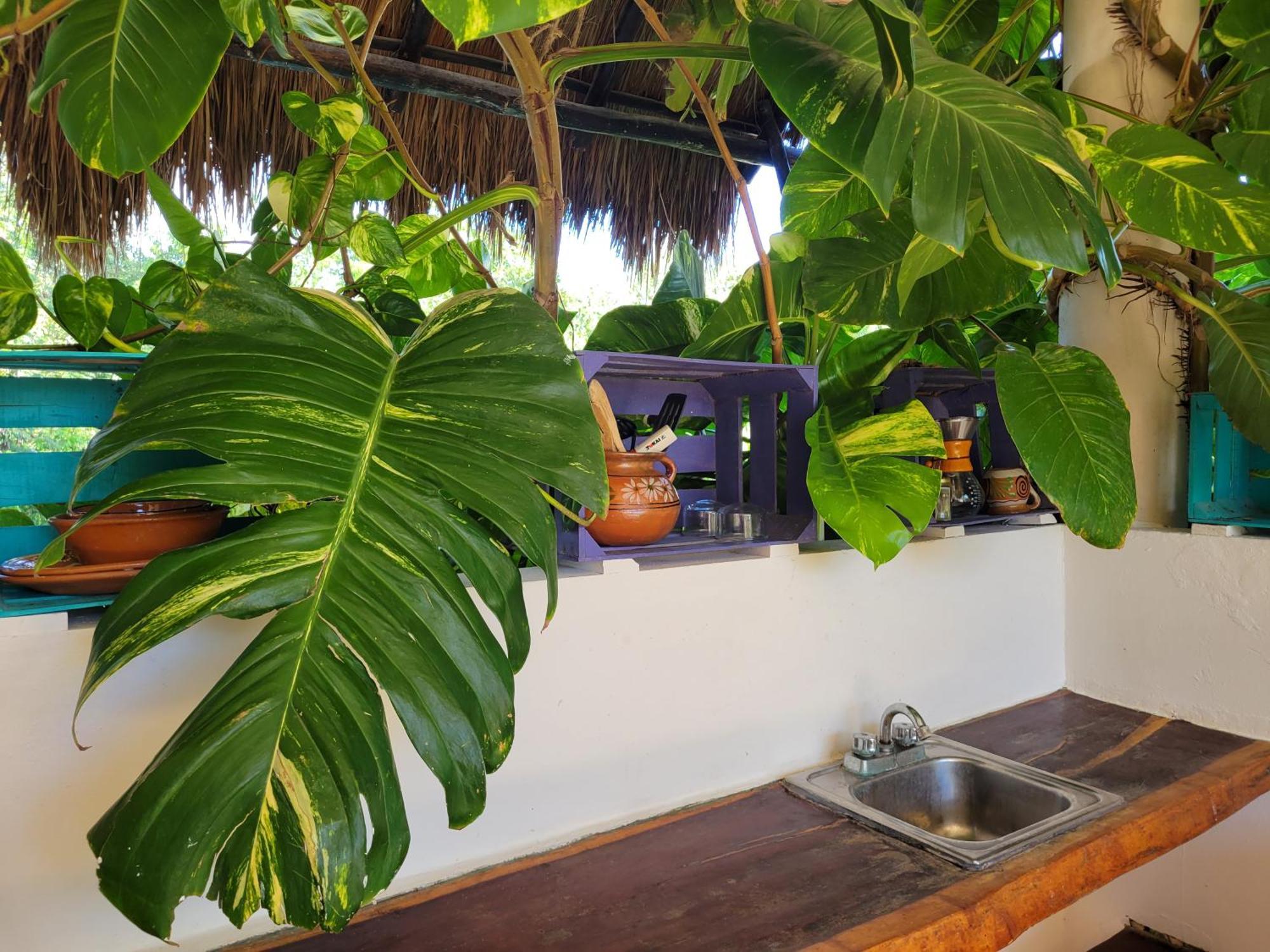 Apartmán The Secret Garden Tulum Exteriér fotografie